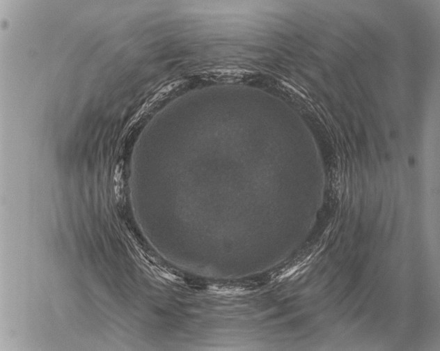 X0000059080818200510211539