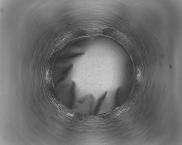 X0000059080819200510211539