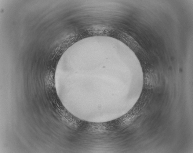 X0000059080820200510211539