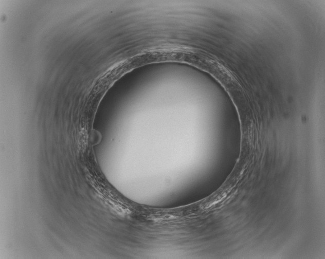 X0000059080821200510211539