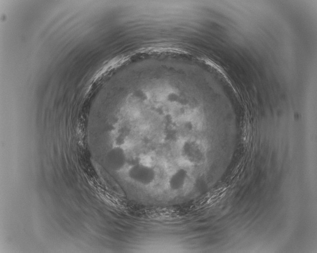 X0000059080823200510211539