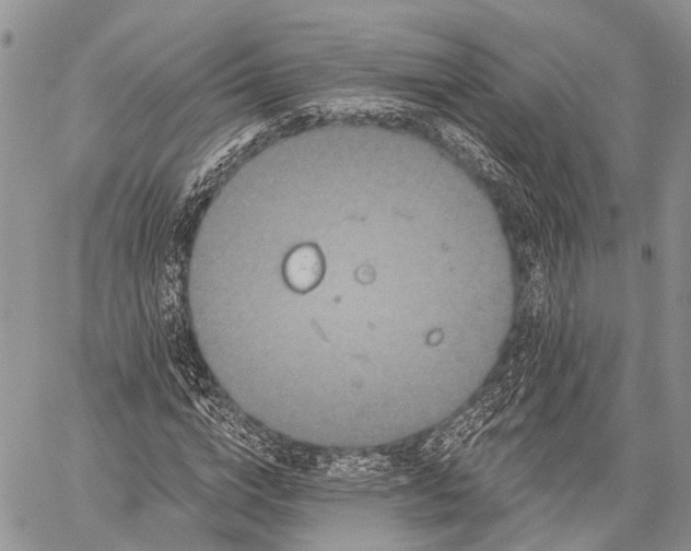 X0000059080824200510211539