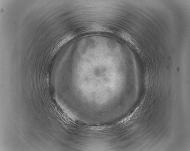 X0000059080825200510211539