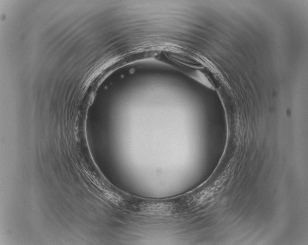 X0000059080826200510211539