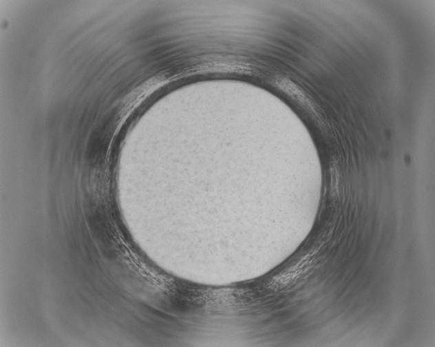 X0000059080828200510211539