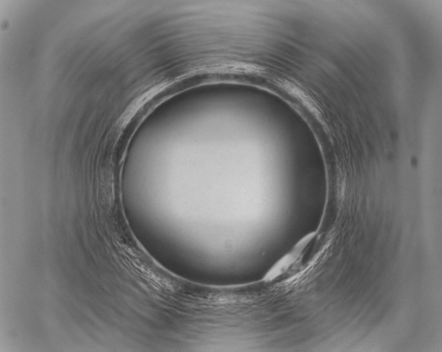 X0000059080829200510211539