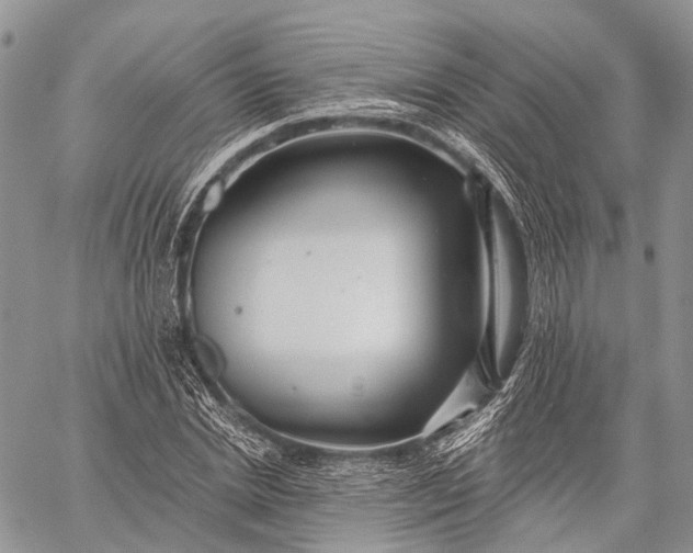 X0000059080830200510211540