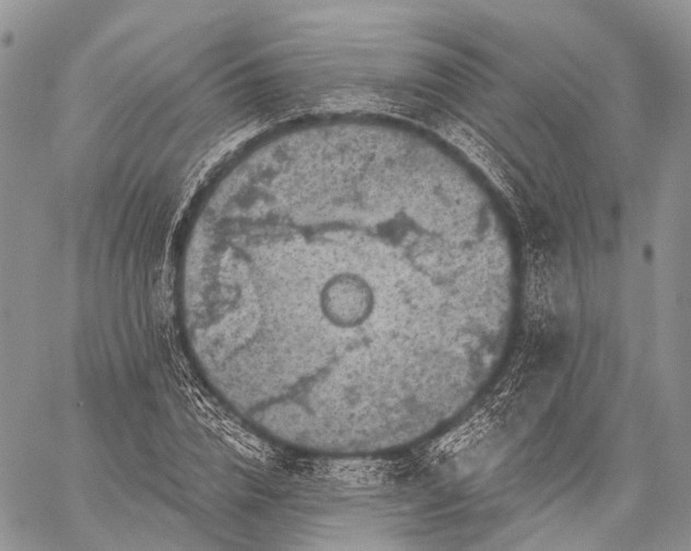 X0000059080832200510211540