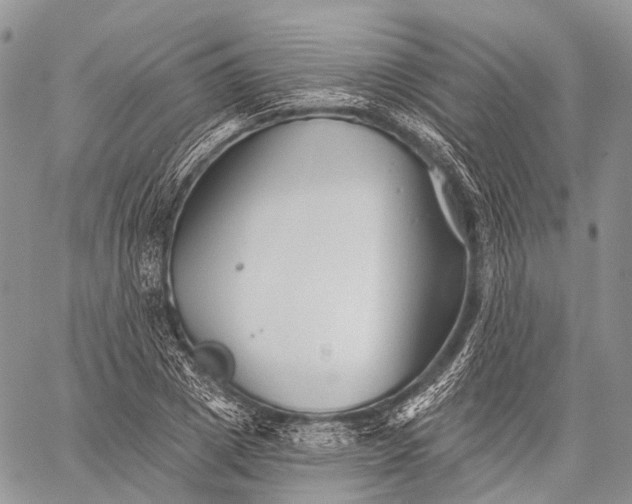 X0000059080833200510211540