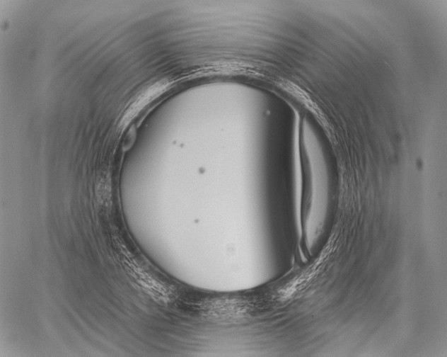 X0000059080834200510211540