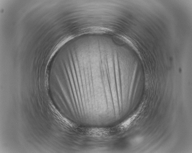 X0000059080835200510211540