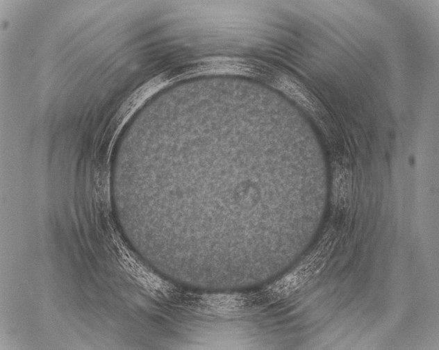 X0000059080836200510211540