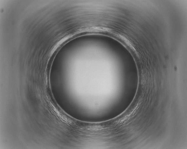 X0000059080837200510211540