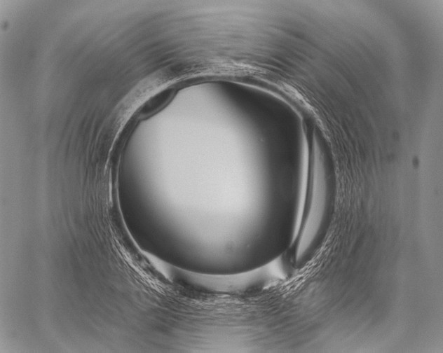 X0000059080838200510211540