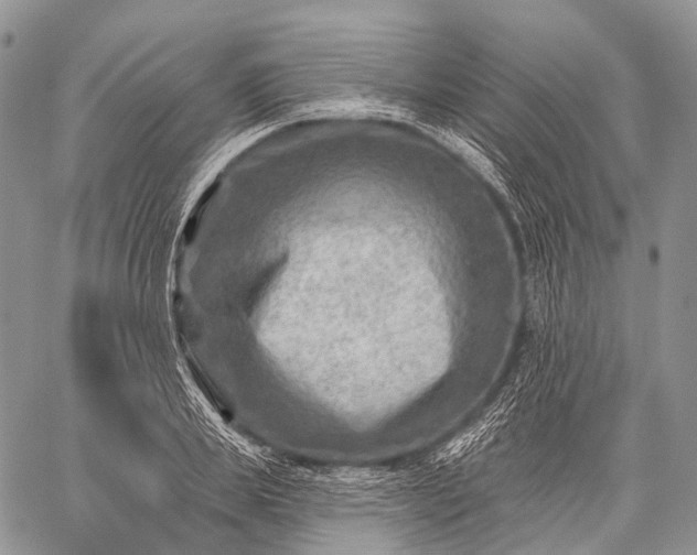 X0000059080839200510211540