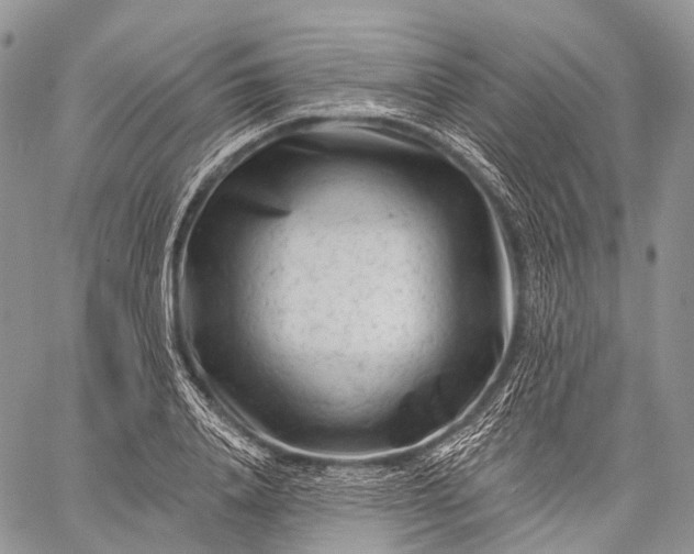 X0000059080840200510211540