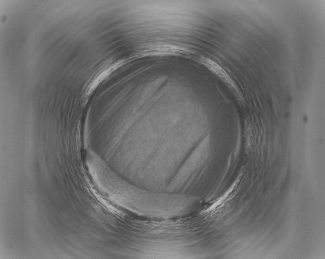 X0000059080842200510211540