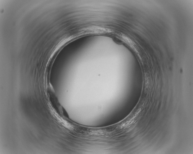 X0000059080843200510211540