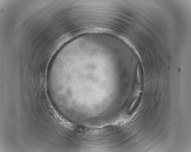 X0000059080845200510211540