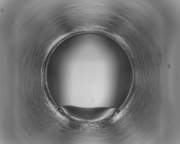 X0000059080846200510211540