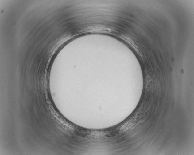 X0000059080848200510211540