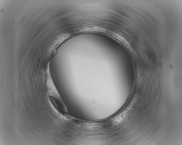 X0000059080849200510211540