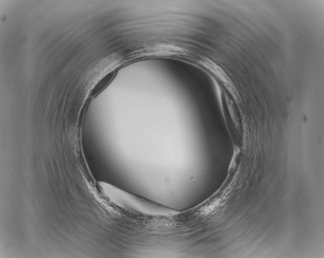 X0000059080850200510211540