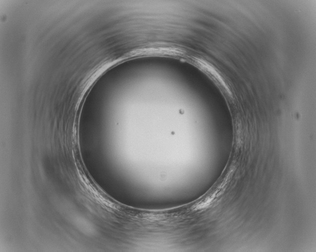 X0000059080852200510211540