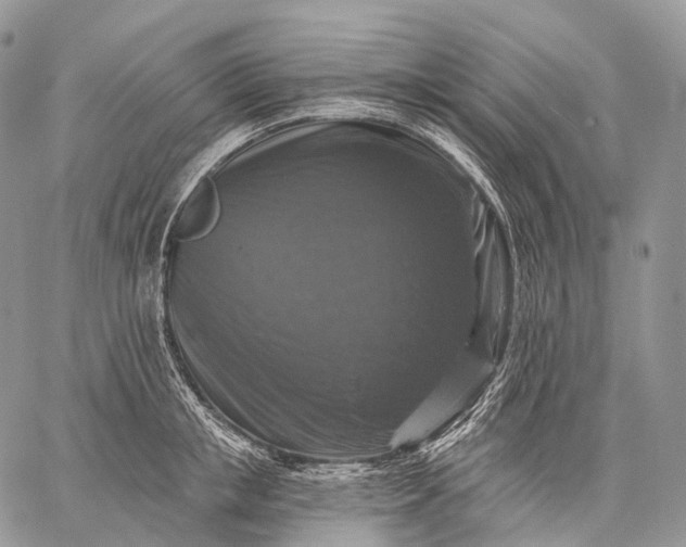 X0000059080853200510211540