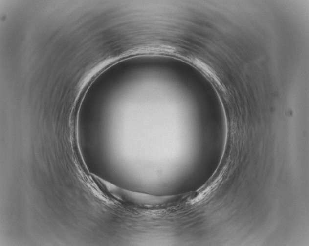 X0000059080854200510211540