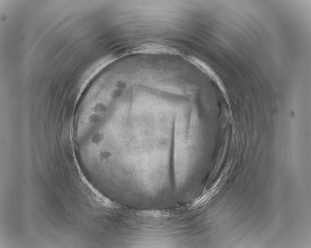 X0000059080855200510211540