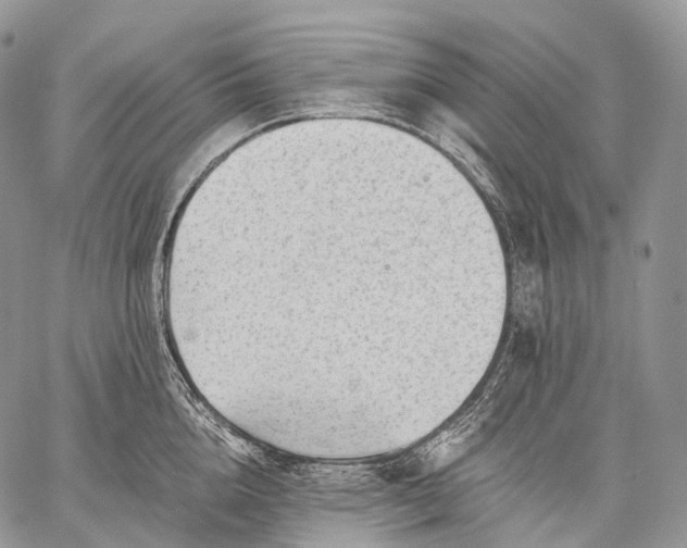 X0000059080856200510211540