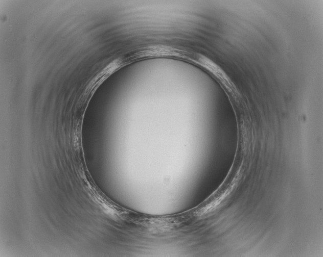 X0000059080857200510211540