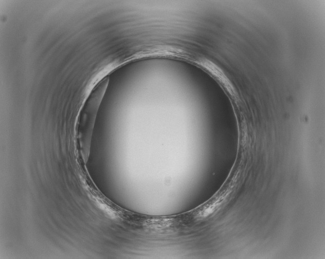 X0000059080858200510211540