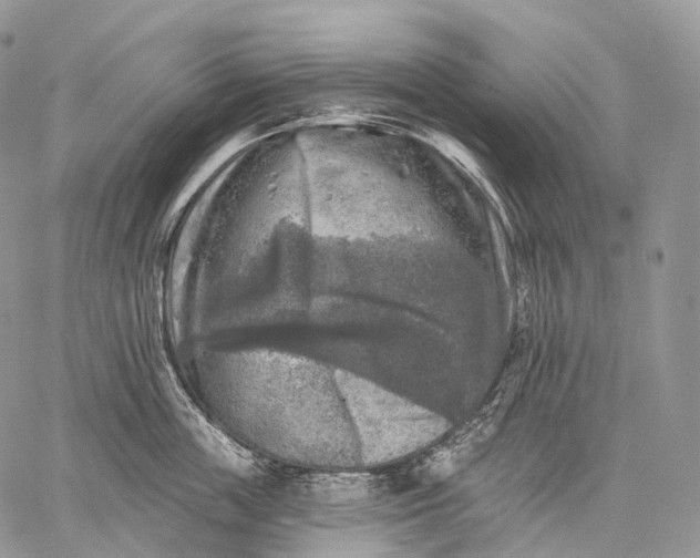 X0000059080859200510211540