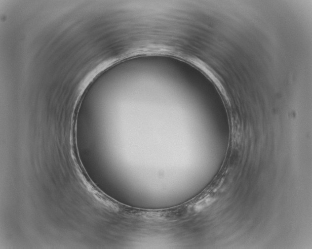 X0000059080861200510211540