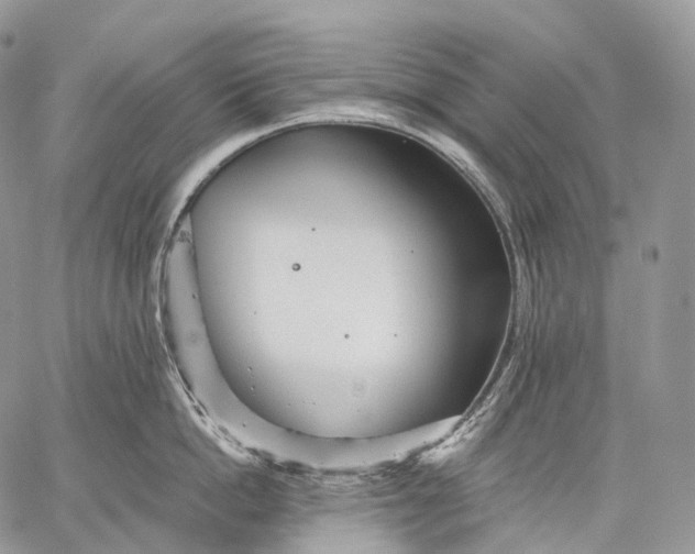 X0000059080862200510211540