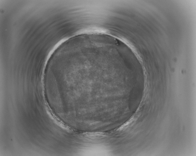 X0000059080864200510211540