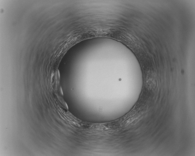 X0000059080866200510211539