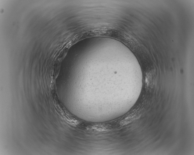 X0000059080867200510211539