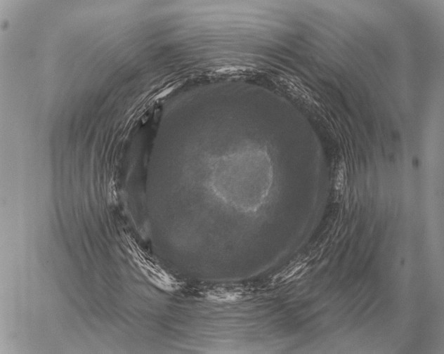 X0000059080868200510211539