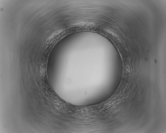 X0000059080869200510211539