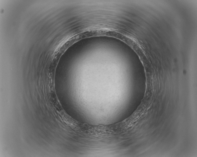 X0000059080871200510211539