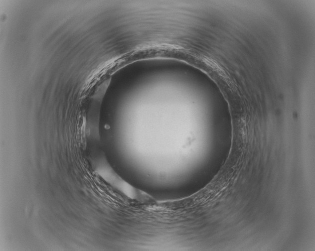 X0000059080872200510211539