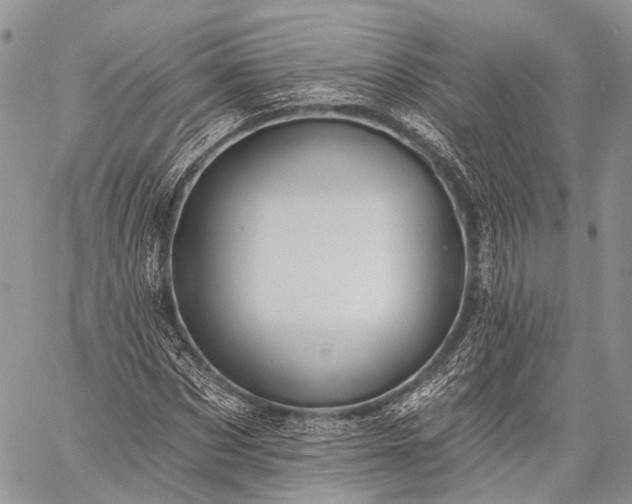 X0000059080873200510211539