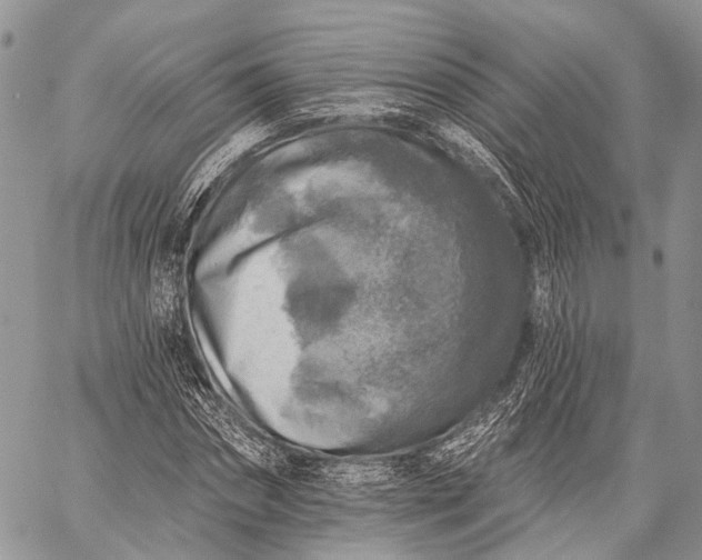 X0000059080874200510211539