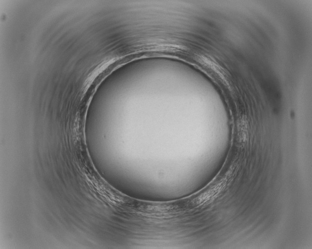 X0000059080875200510211539