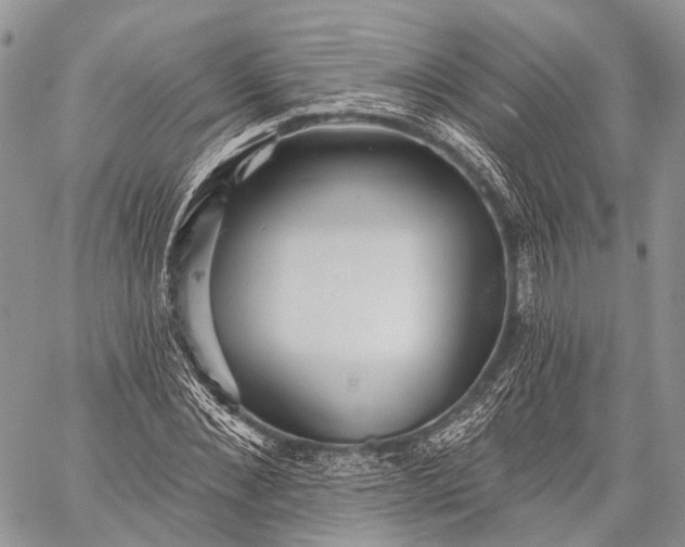 X0000059080876200510211539