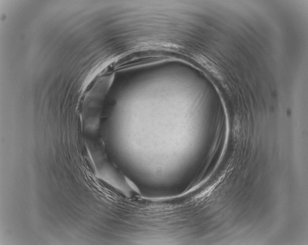 X0000059080877200510211539