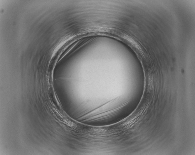 X0000059080878200510211539